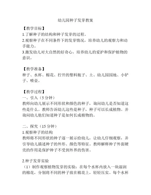 幼儿园种子发芽教案