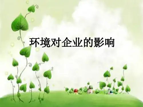 环境对企业的影响(1)