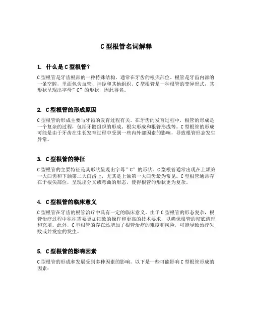 c型根管名词解释