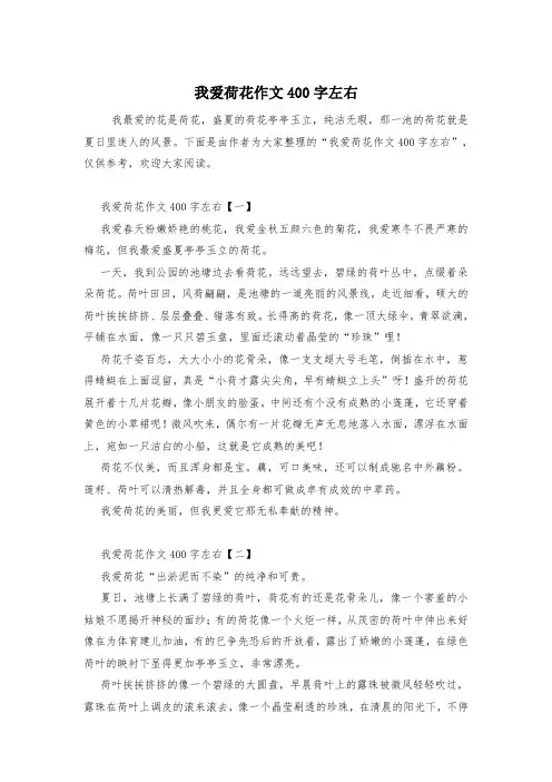 我爱荷花作文400字左右
