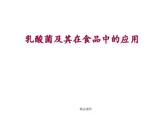 乳酸菌微生物