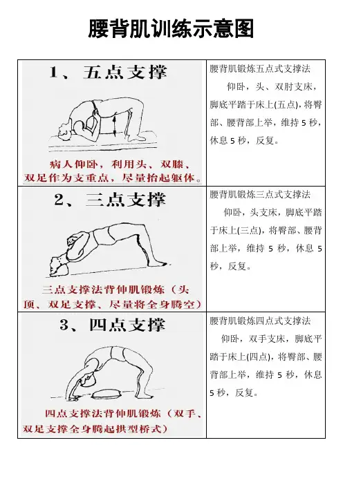 腰背肌锻炼