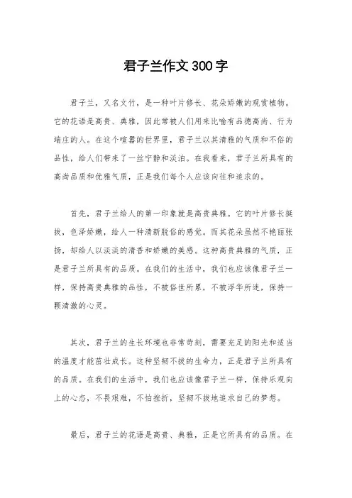 君子兰作文300字