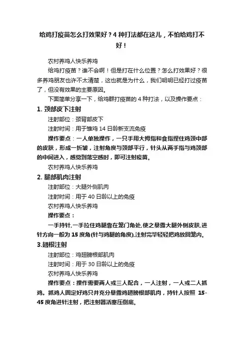 给鸡打疫苗怎么打效果好？4种打法都在这儿，不怕给鸡打不好！