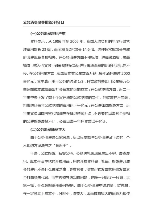 公务消费浪费现象分析