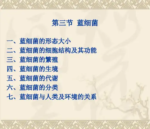 (2)第二章 原核微生物(2)第三节-第五节 蓝细菌、放线菌、其他原核微生物