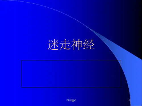 迷走神经完整版ppt课件