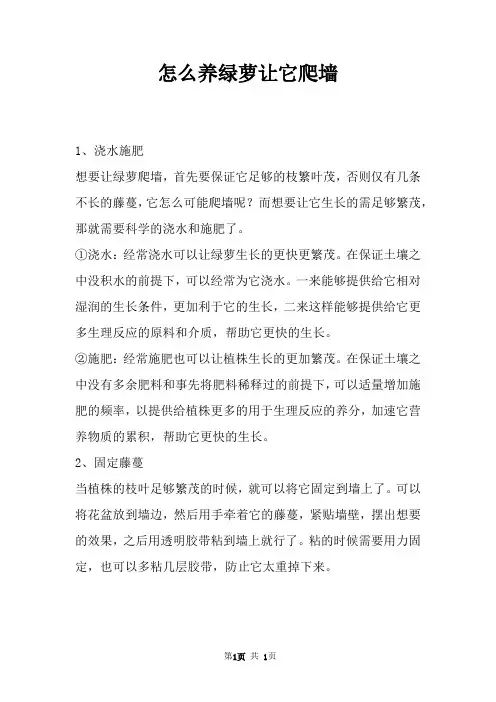 怎么养绿萝让它爬墙 