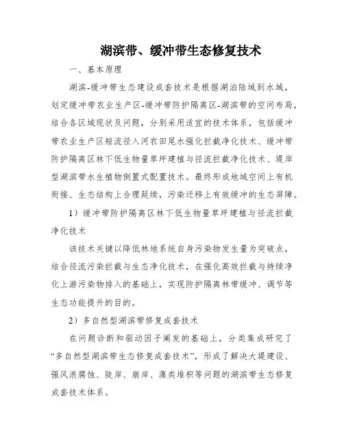 湖滨带、缓冲带生态修复技术