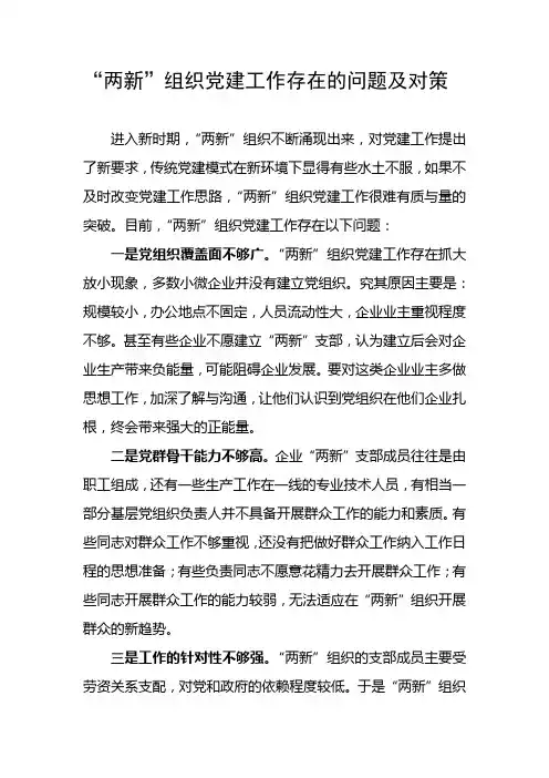 两新组织党建工作存在的问题及对策