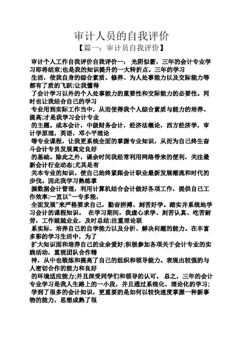 审计人员的自我评价