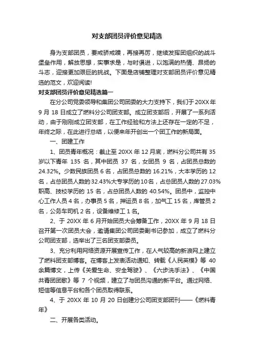 对支部团员评价意见精选