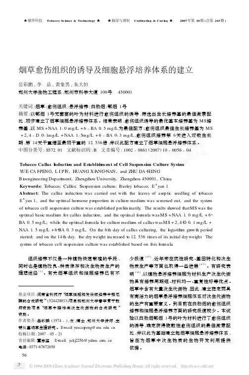 3.烟草愈伤组织的诱导及细胞悬浮培养体系的建立