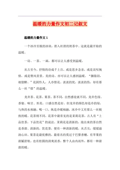 温暖的力量作文初二记叙文