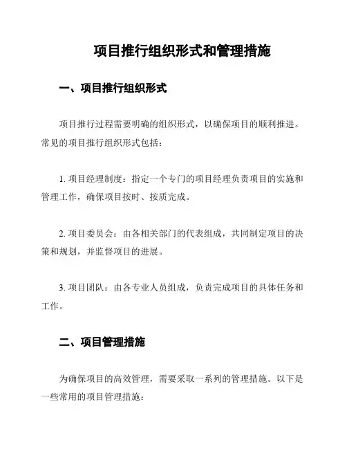 项目推行组织形式和管理措施