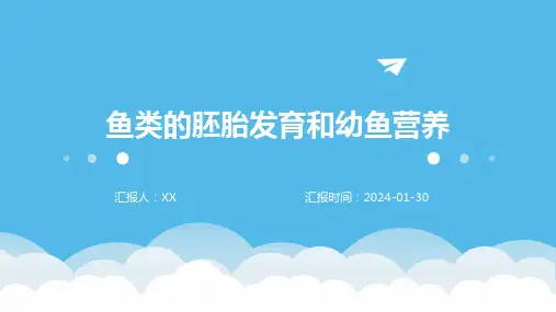 鱼类的胚胎发育和幼鱼营养