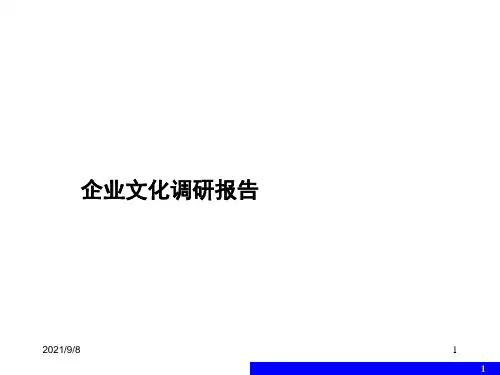 企业文化诊断报告