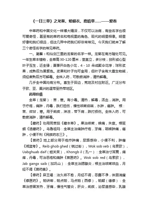 《一日三草》之龙葵、蛤蟆衣、鹿晗草......——爱看
