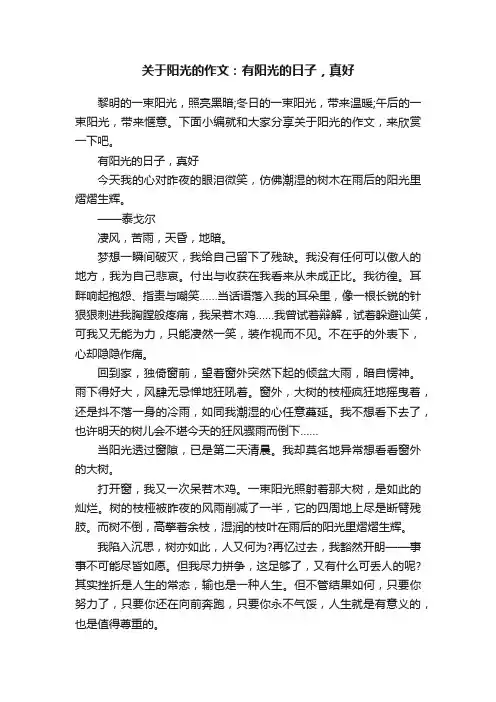关于阳光的作文：有阳光的日子，真好