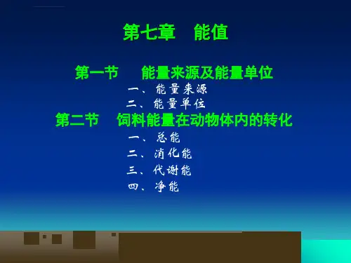 动物营养学能量ppt课件