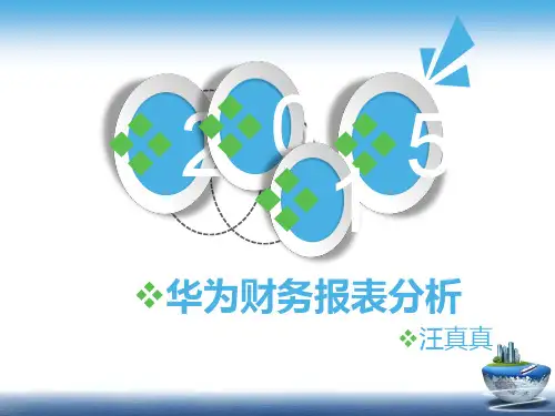 华为2015年财务报表分析