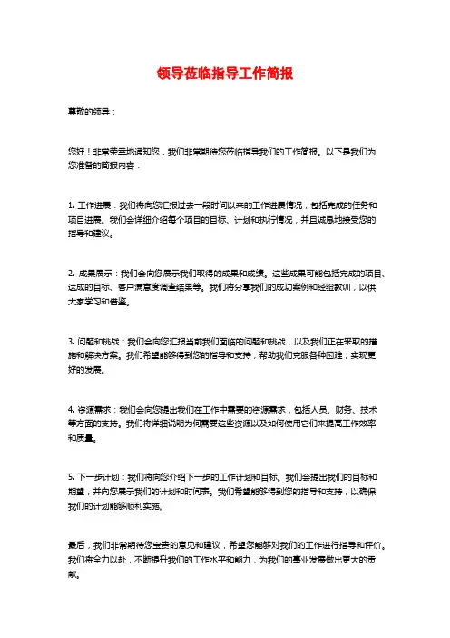 领导莅临指导工作简报