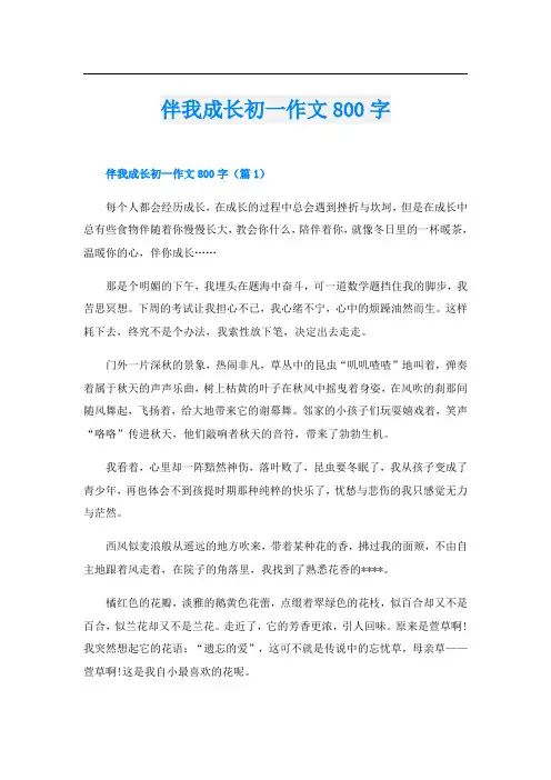 伴我成长初一作文800字