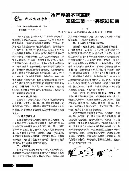 水产养殖不可或缺的益生菌——类球红细菌
