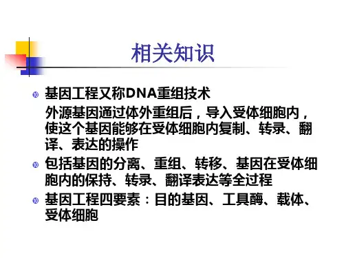 质粒DNA的提取酶切及检测