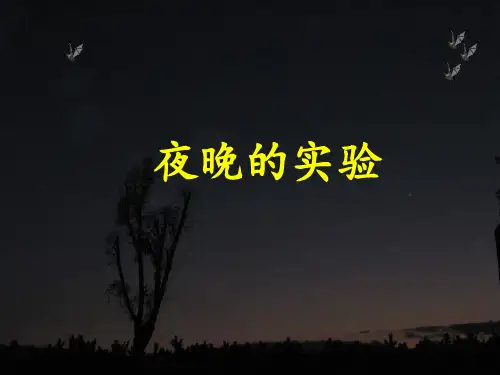 12.夜晚的实验第一课时PPT课件