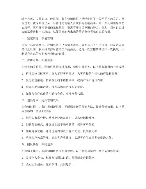 营销高手总结范文