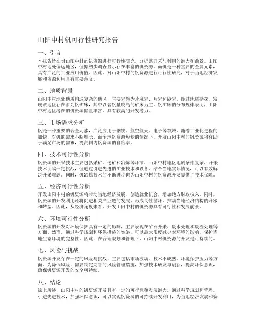 山阳中村钒可行性研究报告