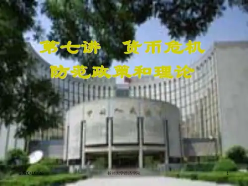 货币危机防范政策与理论讲义课件.pptx