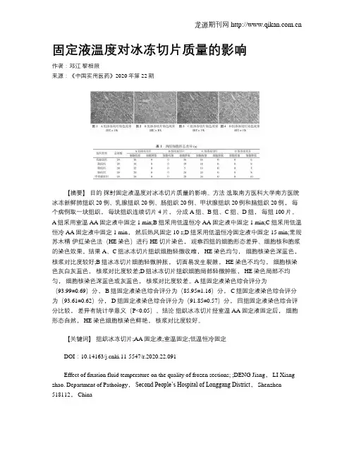 固定液温度对冰冻切片质量的影响