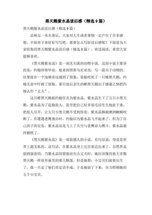 黑天鹅紫水晶读后感(精选9篇)