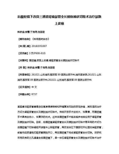后腹腔镜下改良三通道肾输尿管全长膀胱袖状切除术治疗尿路上皮癌