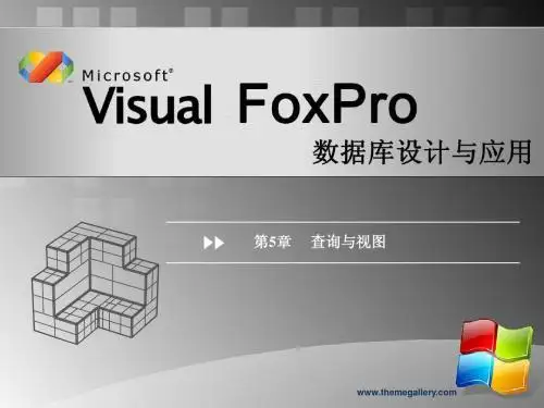 vfp第5章查询视图