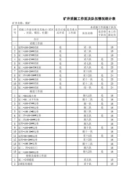 矿井采掘工作面及队伍情况统计表