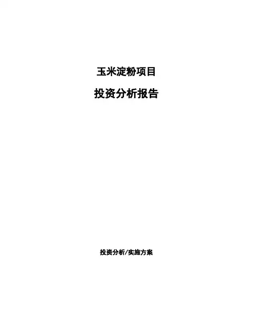 玉米淀粉项目投资分析报告