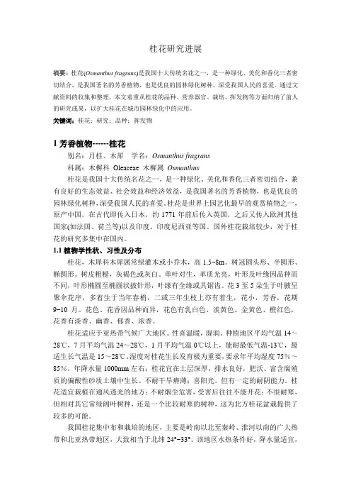 桂花研究进展