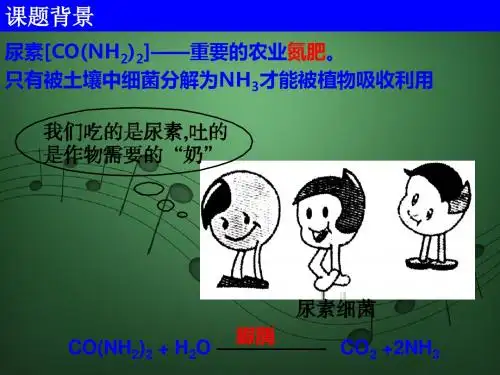 完整版：土壤中分解尿素细菌分离与计数