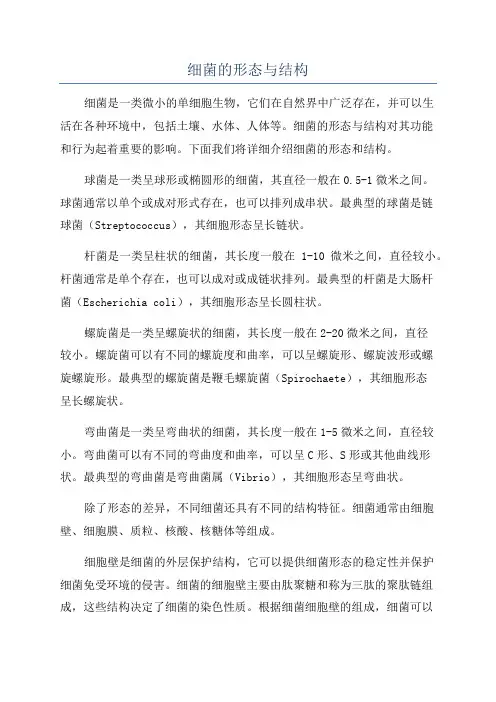 细菌的形态与结构