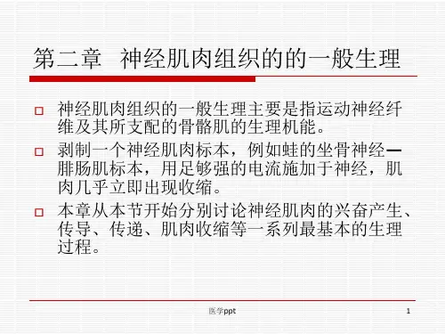 神经肌肉组织的的一般生理