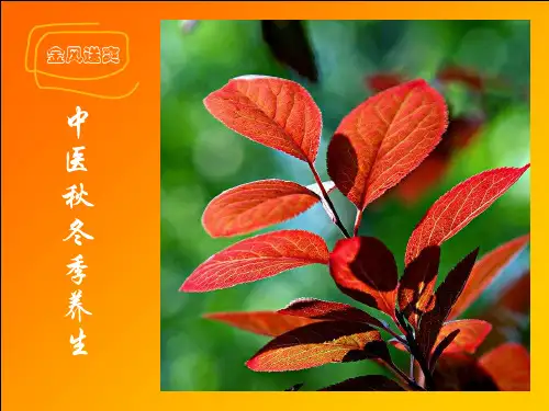 中医秋冬季养生PPT幻灯片