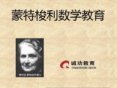 蒙特梭利数学教育PPT课件
