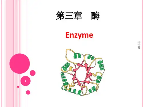 生物化学生物化学生物化学第三章酶