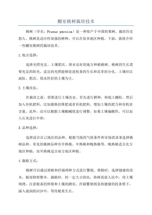 棚室桃树栽培技术