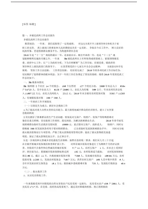 乡镇民政的工作总结计划5篇.docx