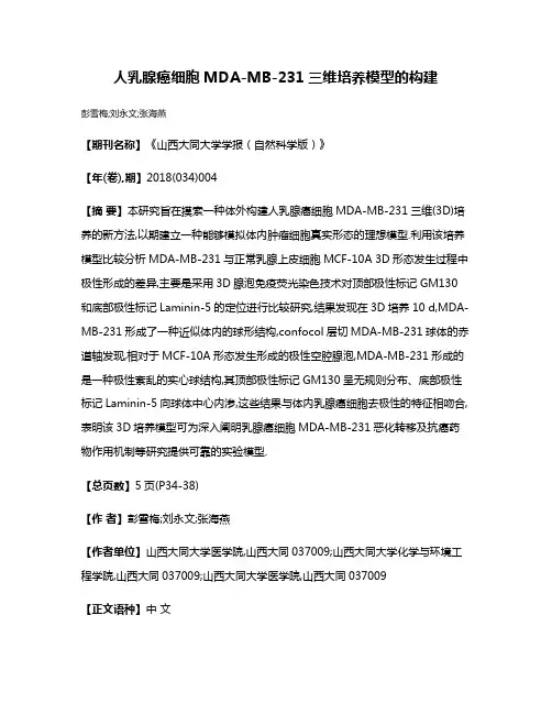人乳腺癌细胞MDA-MB-231三维培养模型的构建