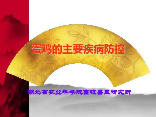 蛋鸡的主要疾病防控